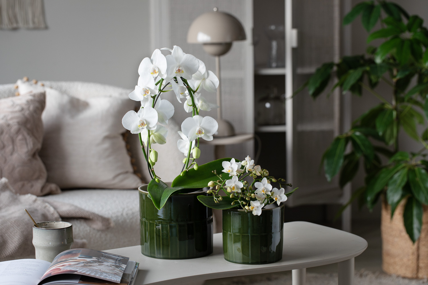 Ronja blomsterpotter med orkide